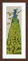 Vintage Peacock II Fine Art Print