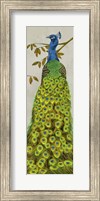 Vintage Peacock II Fine Art Print