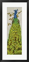 Vintage Peacock II Fine Art Print