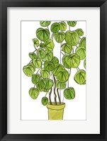 Potted Jungle II Framed Print