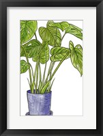 Potted Jungle III Framed Print