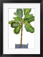 Potted Jungle IV Framed Print