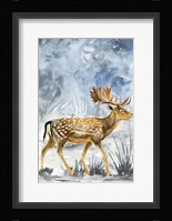 Snowy Night I Framed Print