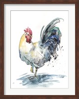 Rooster Splash I Fine Art Print