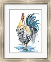 Rooster Splash II Fine Art Print
