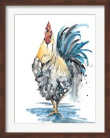 Rooster Splash II Fine Art Print
