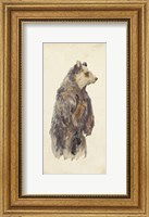 Brown Bear Stare II Fine Art Print