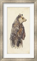 Brown Bear Stare II Fine Art Print