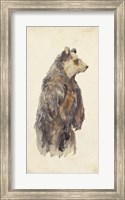 Brown Bear Stare II Fine Art Print