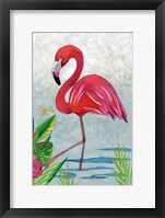 Vivid Flamingo I Framed Print