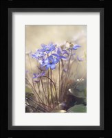Spring Fine Art Print