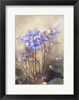 Spring Fine Art Print