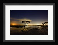 Moonrise Fine Art Print