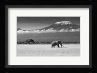 Lost Colors II Fine Art Print