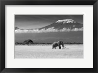 Lost Colors II Fine Art Print