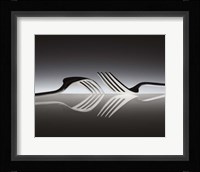 Opposites Fine Art Print