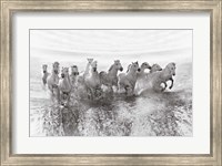 Illusion Of Power (13 Horse Power Though) Fine Art Print