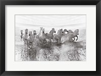 Illusion Of Power (13 Horse Power Though) Fine Art Print