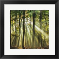 Sunny Start To The Day Fine Art Print