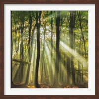 Sunny Start To The Day Fine Art Print
