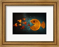 Orange Fish Fine Art Print