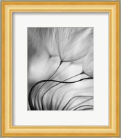 Lean On Me Fine Art Print