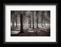 The Onset Of Winter Fine Art Print