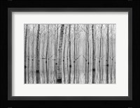 Novembre 2014 Fine Art Print