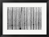 Novembre 2014 Fine Art Print