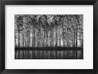 Pointillism Nature Fine Art Print