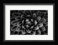 Natural Math Fine Art Print