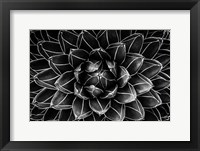 Natural Math Fine Art Print