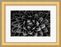 Natural Math Fine Art Print