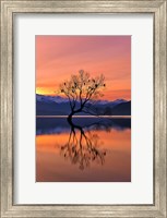Lone Tree Is Not Lonely Fine Art Print