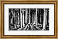Ghost Forest Fine Art Print