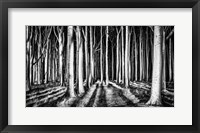 Ghost Forest Fine Art Print