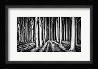 Ghost Forest Fine Art Print