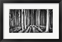 Ghost Forest Fine Art Print