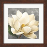 Magnolia Blossom on Gray Fine Art Print