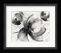 Bold III Framed Print