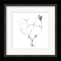 Rooster II Dark Square Framed Print
