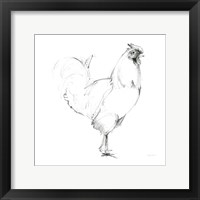 Rooster II Dark Square Fine Art Print