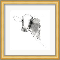 Cow II Dark Square Fine Art Print