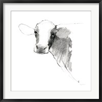 Cow II Dark Square Fine Art Print