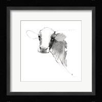 Cow II Dark Square Framed Print