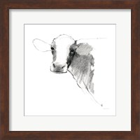 Cow II Dark Square Fine Art Print