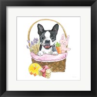 Easter Pups VII Framed Print