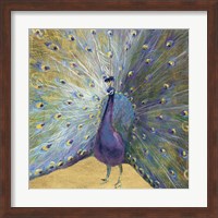 Purple and Gold Peacock Fine Art Print