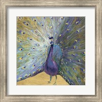 Purple and Gold Peacock Fine Art Print