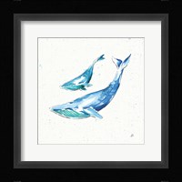 Maritime VIII Framed Print